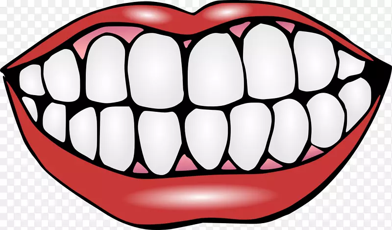 人牙口唇夹艺术-牙齿PNG