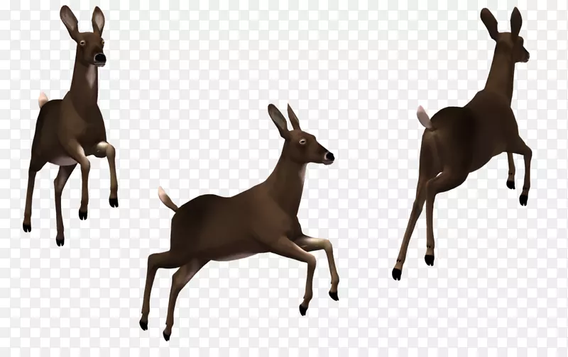 鹿剪艺术免费鹿图片
