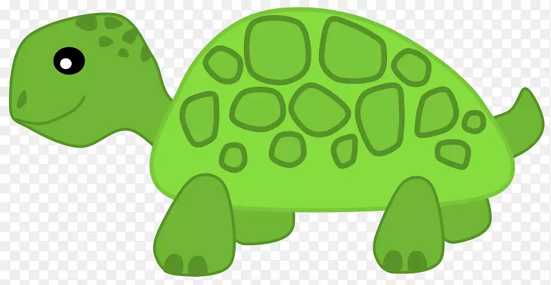 海龟食草夹艺术-卡通海龟图片