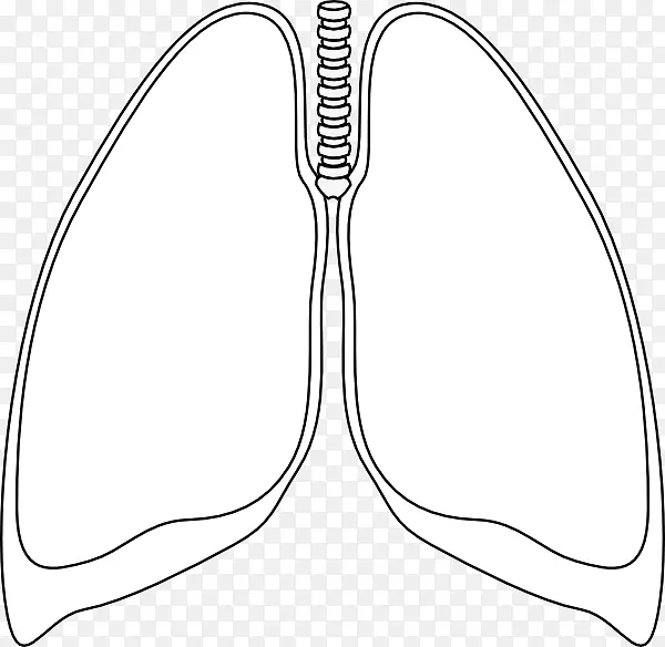 肺气胸夹术-小肺片