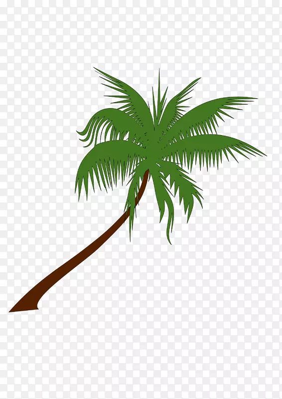 槟榔科树木剪贴画-椰子树PNG免费下载