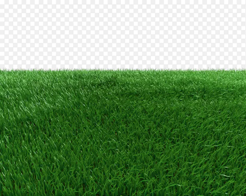人工草坪绿草场草地透明背景