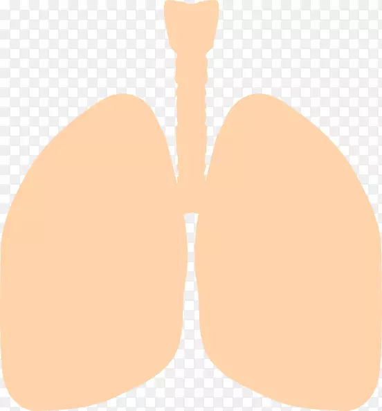 肺夹艺术.小肺片