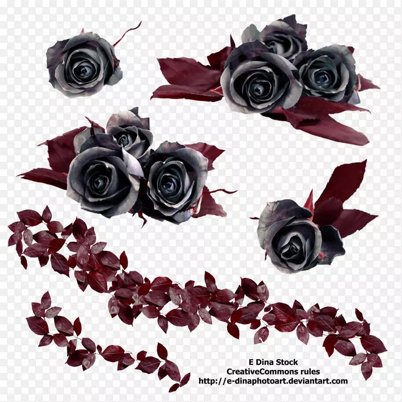 黑色玫瑰花-哥特式玫瑰PNG免费下载