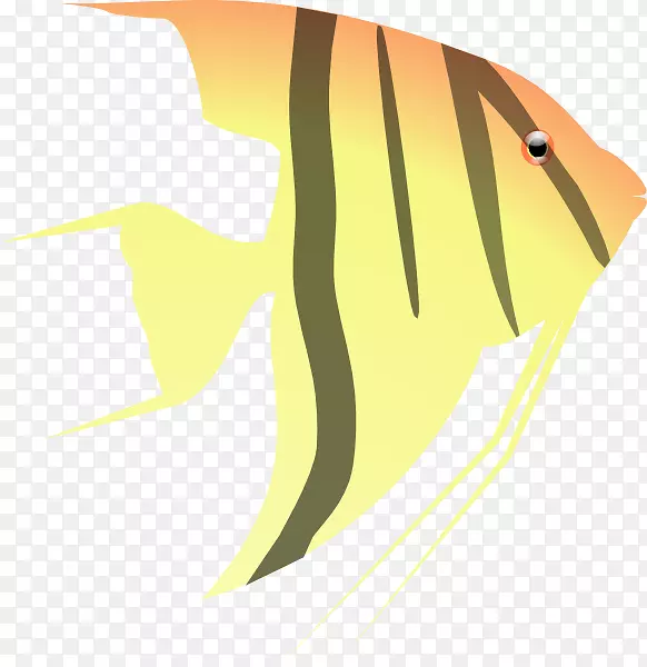 热带鱼类剪贴画-天使艺术图片
