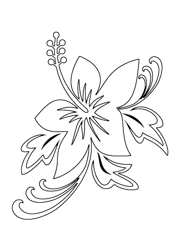 花卉铅笔素描-热带花卉素描
