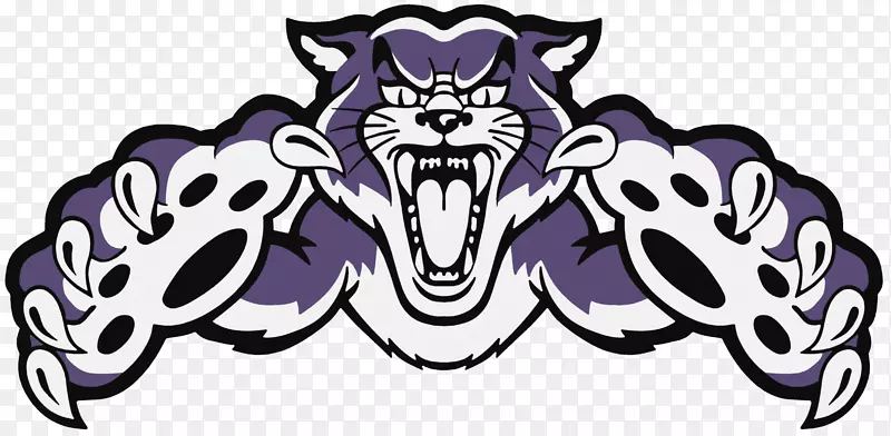 肯塔基州野猫足球肯塔基州野猫女排标志剪贴画野猫吉祥物