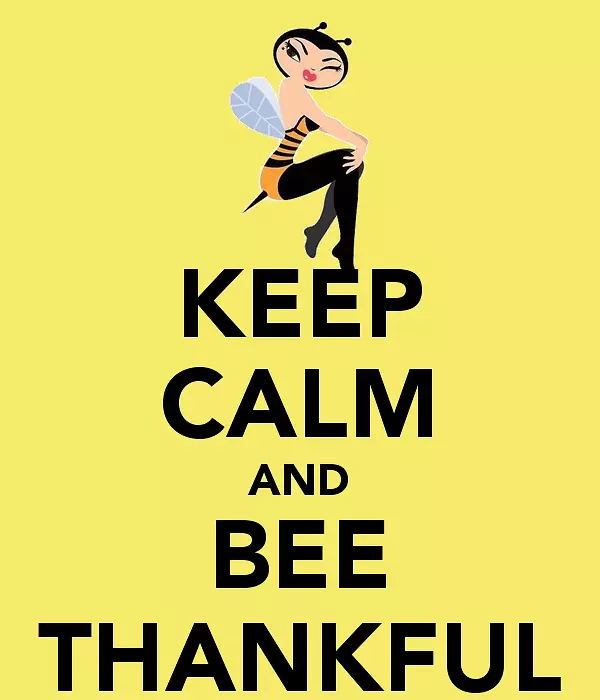保持冷静，并进行t恤海报生日-蜜蜂感恩剪贴画。