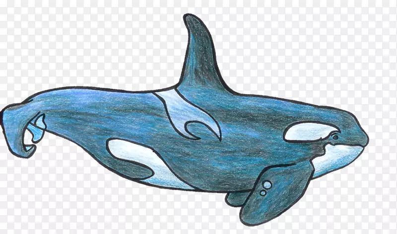 虎鲸普通宽吻海豚图库溪剪贴画-沙木卡通
