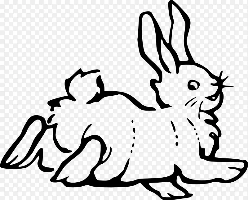 复活节兔子欧洲兔子剪贴画和剪贴画