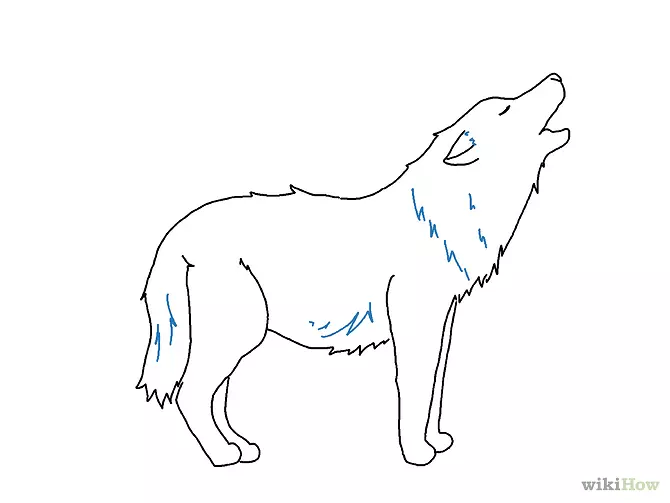 灰狼画线艺术素描-简单的狼画