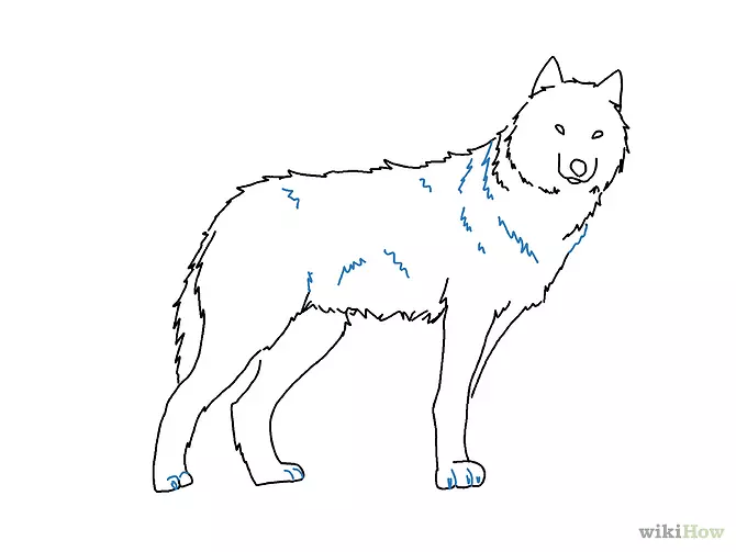 灰狼画铅笔素描-简单的狼画