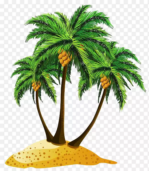 槟榔科椰子树剪贴画-海滩PNG图片