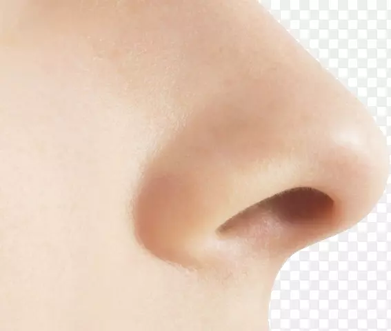 人鼻嗅觉-鼻PNG图