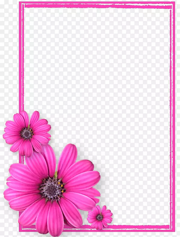 相框粉红花-粉红色花架PNG照片8