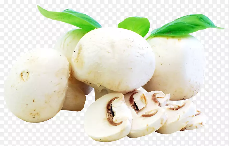 原料药蘑菇食品蔬菜鲜蘑菇