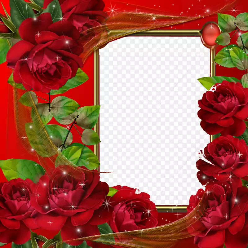 画框图片编辑器应用软件-红色花框PNG PIC
