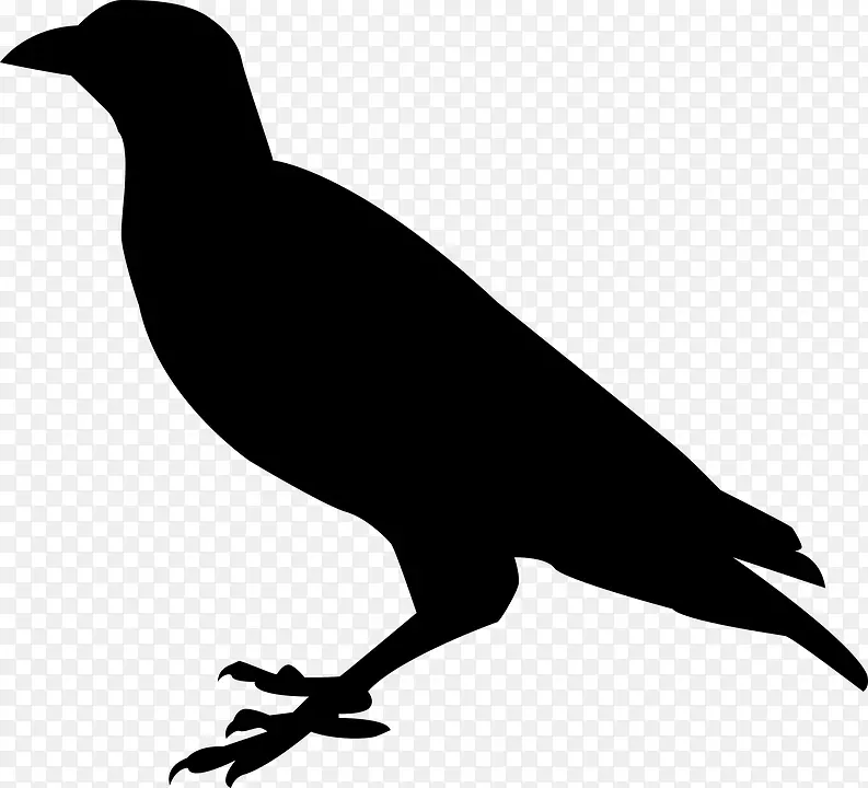 喙黑白动物轮廓-乌鸦鸟PNG图