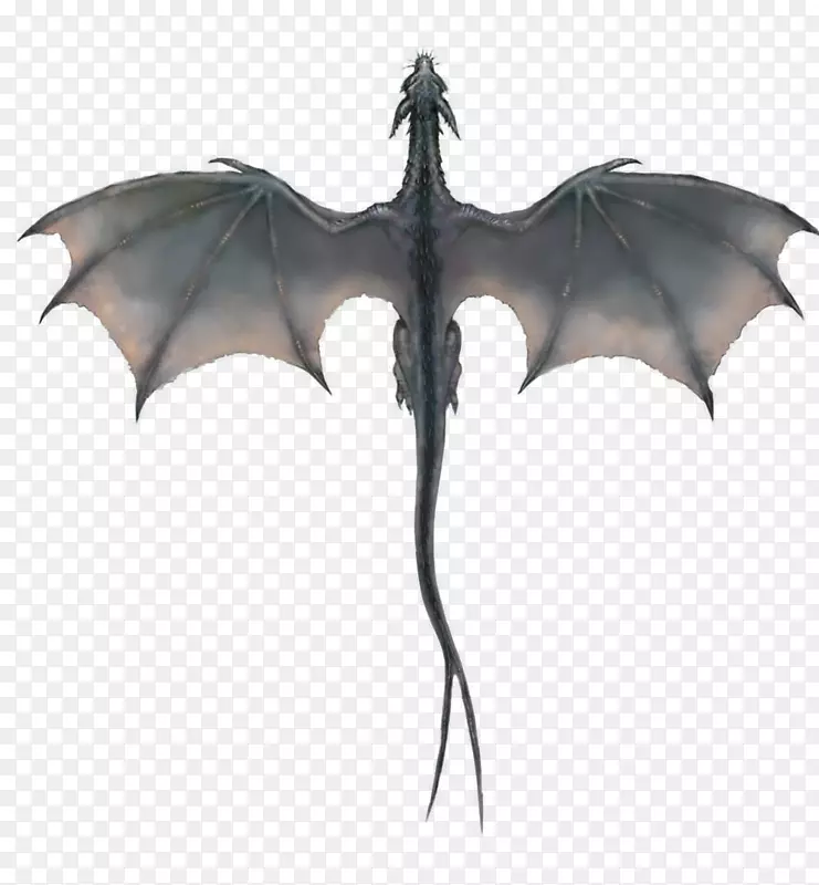 Eragon Smaug Dradenerys Targaryen-飞龙透明PNG