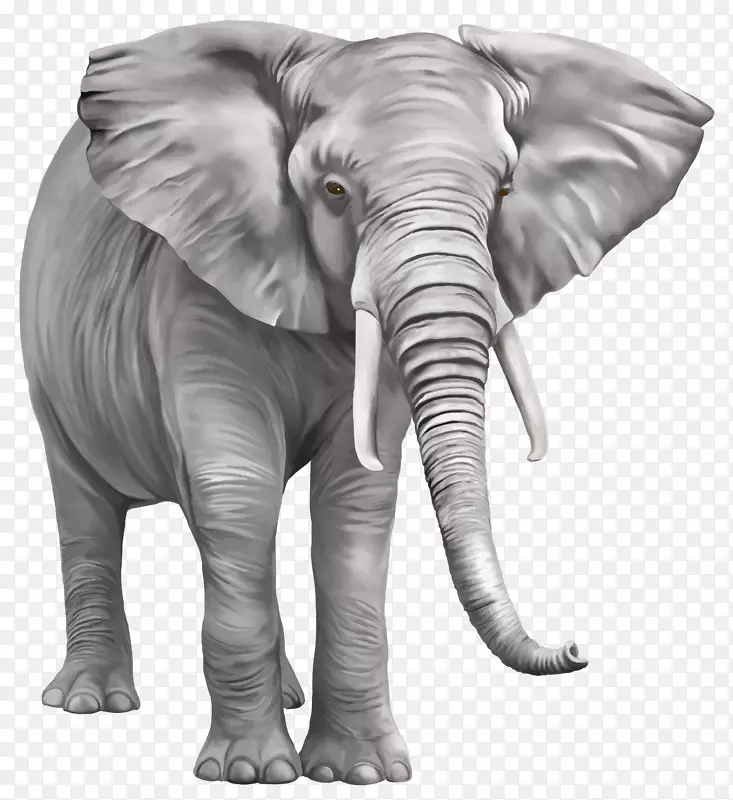 印度大象剪贴画-大象PNG免费下载