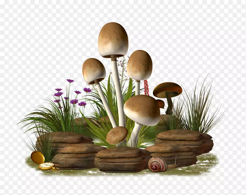 蘑菇剪贴画-蘑菇PNG透明图像