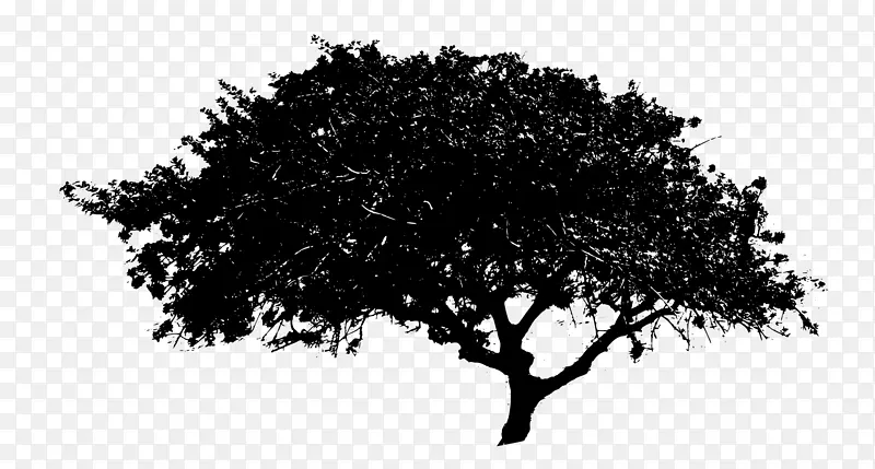 树剪贴画-黑色树png文件