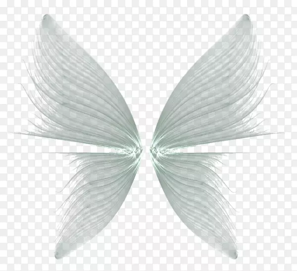 蝴蝶画羽毛翅膀透明背景