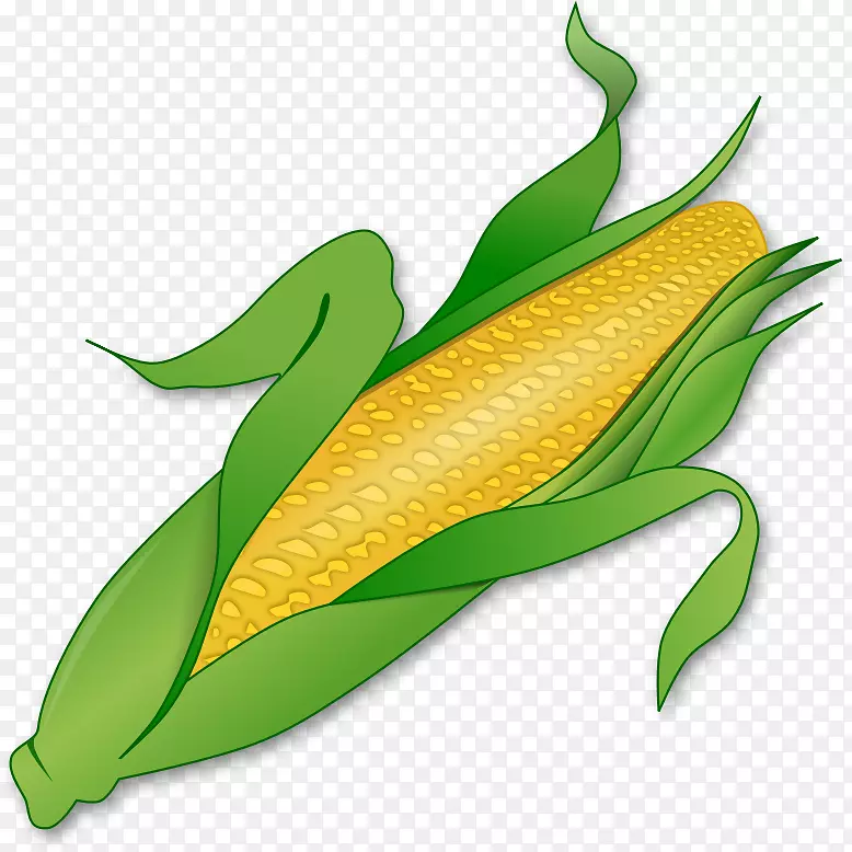 玉米上的玉米剪贴画-玉米PNG
