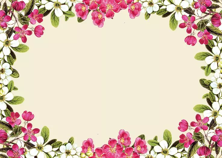 相框鲜花婚礼请柬艺术-粉红色花框PNG照片