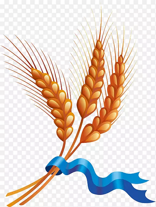 小麦谷物收获剪贴画.大麦材料
