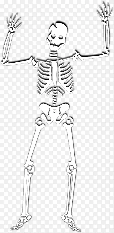人体骨骼头骨剪贴画-万圣节骷髅PNG照片