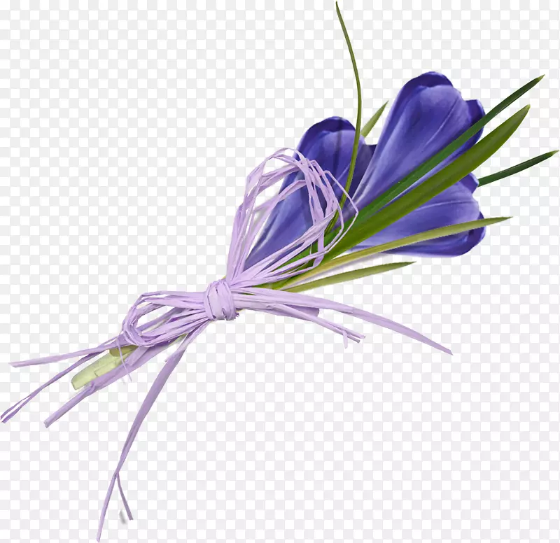 黄花番红花剪贴画.番红花花束