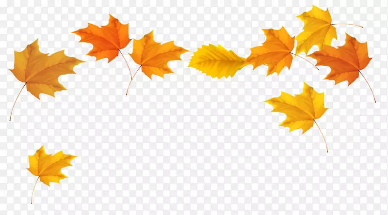 秋叶彩色剪贴画-落叶透明背景
