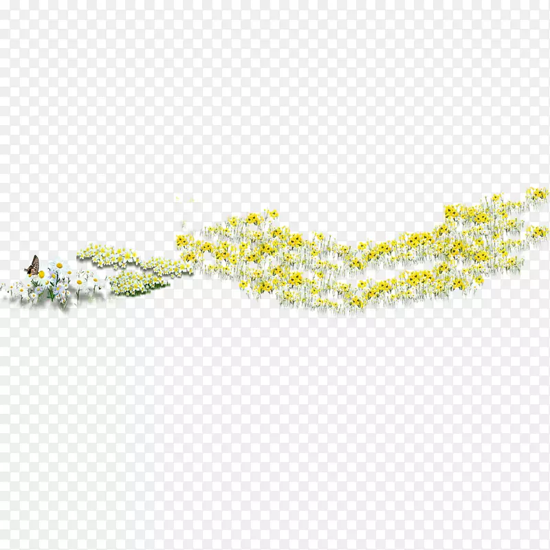 菊花型-菊花