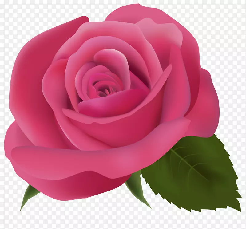 粉红剪贴画-粉红色玫瑰透明背景