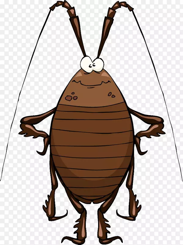 蟑螂卡通片插画艺术.蟑螂