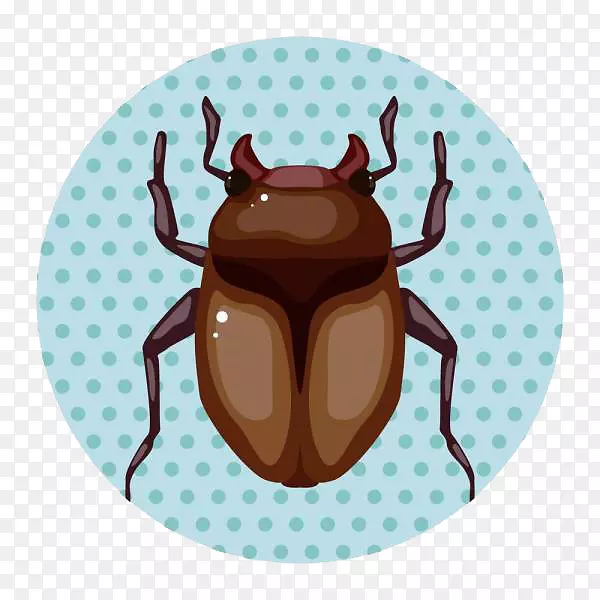 昆虫卡通插图-昆虫的漏洞