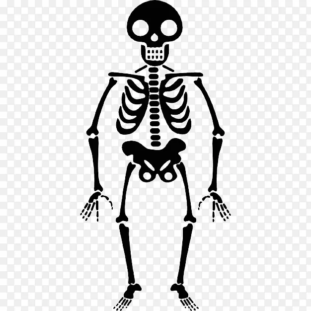 人类骨骼图标-万圣节骨架透明PNG
