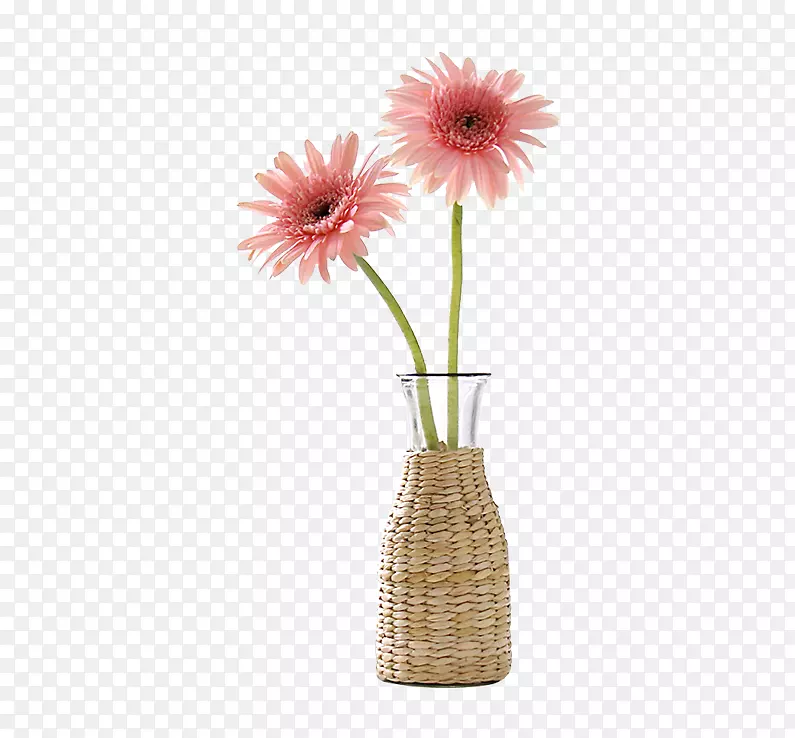 加湿器花-非洲菊插花
