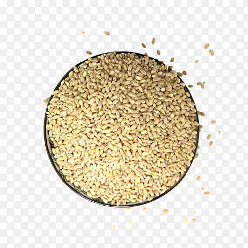 大麦谷类作物米-大麦