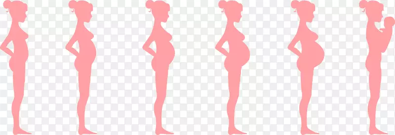 怀孕月产前发育胎儿分娩-怀孕时间