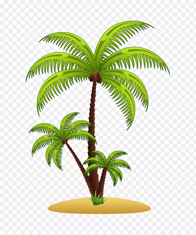 槟榔科树插图-棕榈树