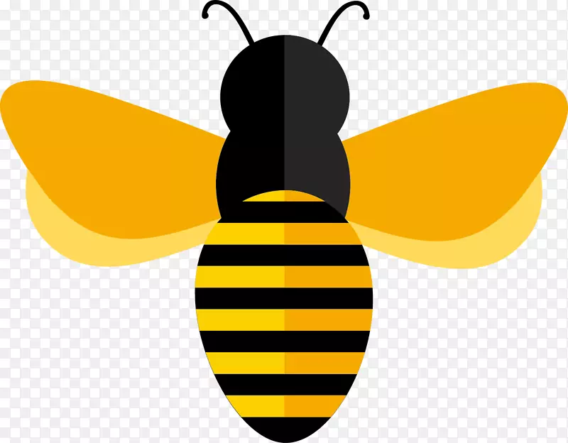 蜜蜂土坯图解器载体-蜂蜜和蜜蜂设计载体材料