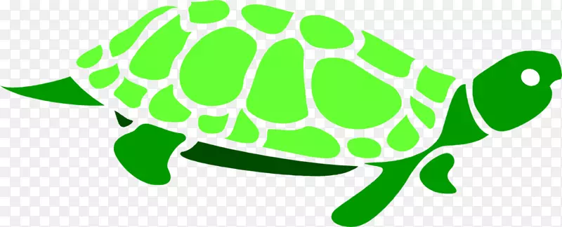 绿海龟剪贴画-绿海龟剪贴画