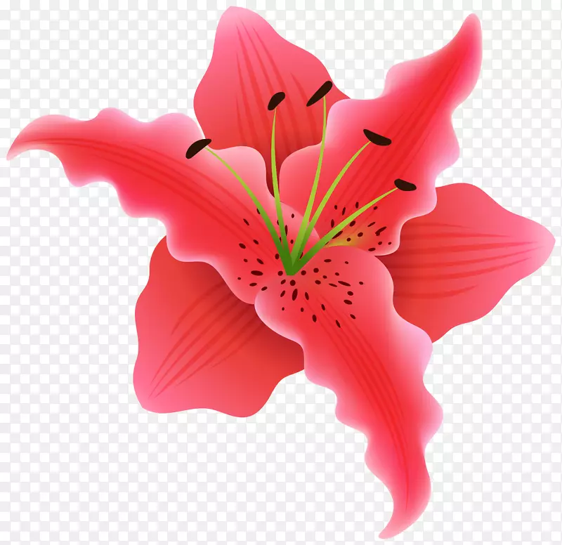 花玫瑰剪贴画-美丽的植物剪贴画