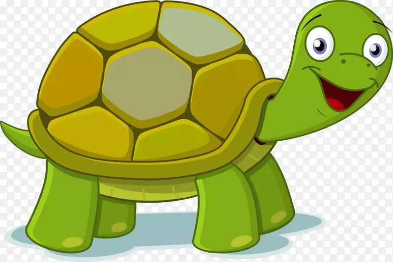 海龟剪贴画-绿海龟剪贴画