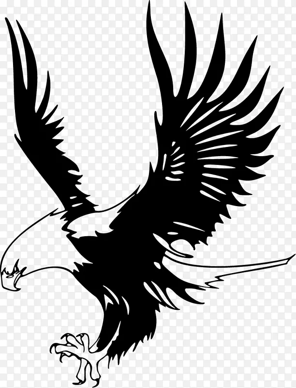 秃鹰只鹰黑白老鹰剪贴画鹰的卡通图片