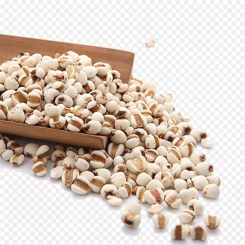 大麦种子米-大麦稻米农产品