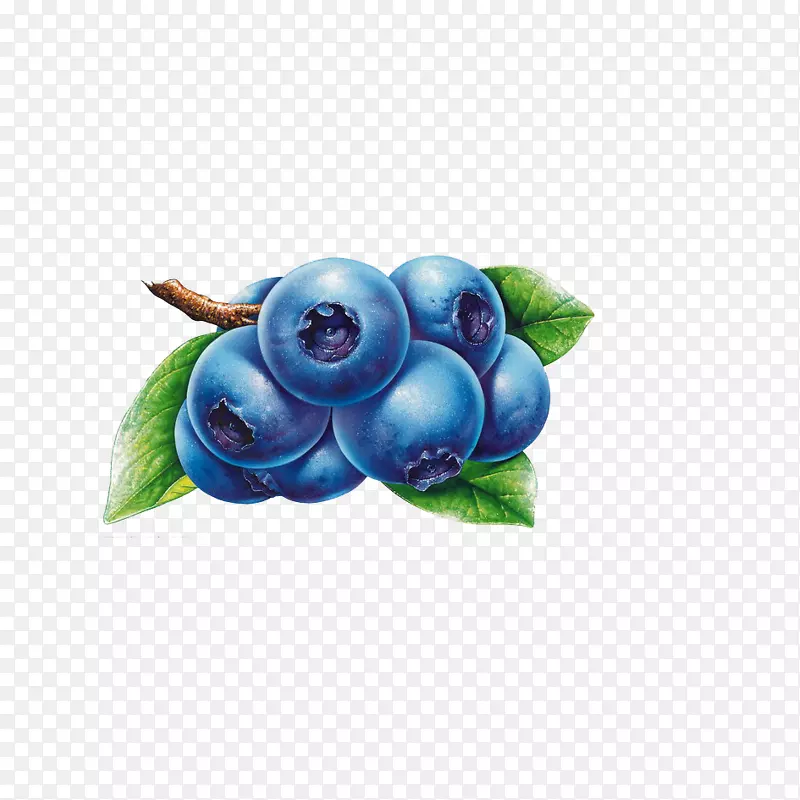 半色调随机筛选-蓝莓