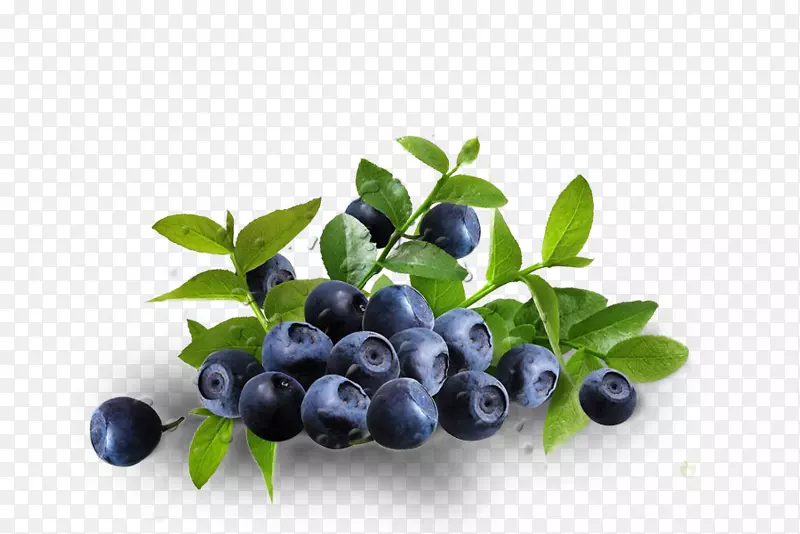 膳食补充剂眼用玉米黄质叶黄素抗氧化剂蓝莓